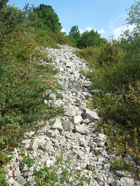 2010-05- (29).JPG